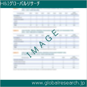 グローバルリサーチ調査レポートのイメージ